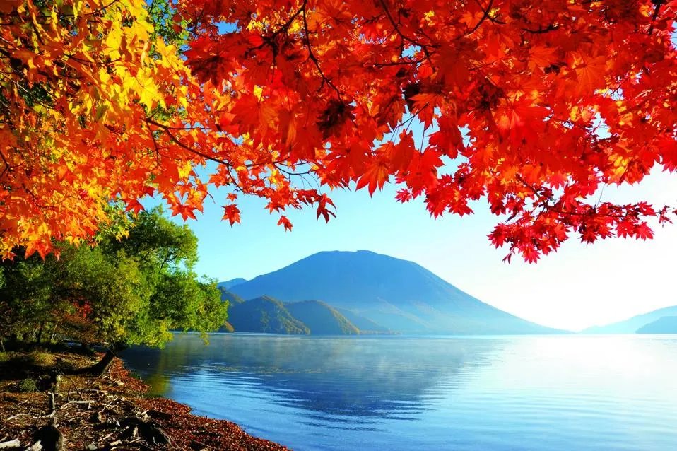 🏞️ 주젠지 호수(주젠지코) 이미지 8